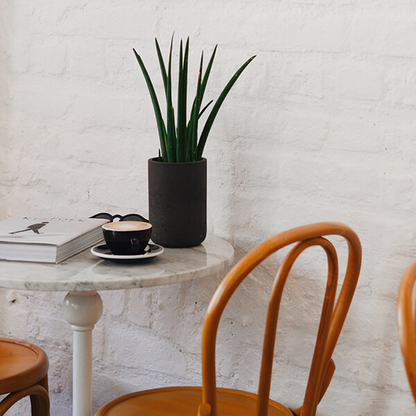 Not just any fashion for you today